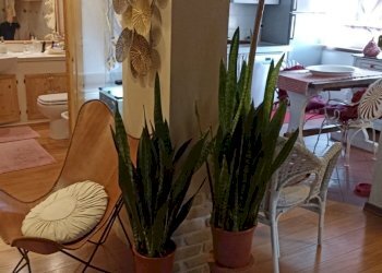 5e7959f3-0a8d-4185-9ef1-17b0ea39408d.JPG - Appartamento Via Carlo Fontana 11, Carrara - foto 2