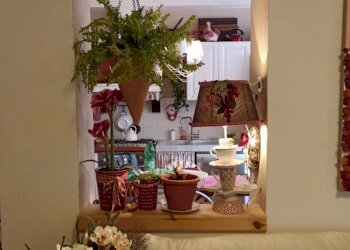 55f78bc9-a192-42c0-9ec3-ac8199cd99c0.JPG - Appartamento Via Carlo Fontana 11, Carrara - foto 5