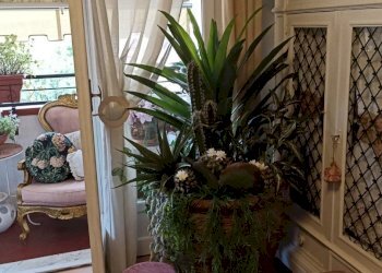 d4194dd7-9bd1-474d-86fa-3e0d5cf5a23f.JPG - Appartamento Via Carlo Fontana 11, Carrara - foto 20