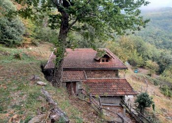 tetto - Baita Regione San Tommaso 14, Pigna - foto 4