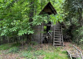 esterno - Baita Regione San Tommaso 14, Pigna - foto 8