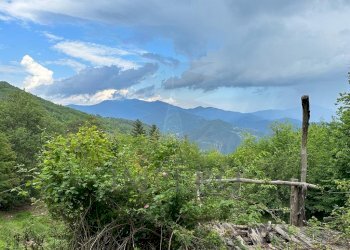 vista - Baita Regione San Tommaso 14, Pigna - foto 9