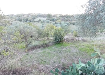 IMG_20231011_155138.jpg - Casa indipendente Ragusa - foto 16