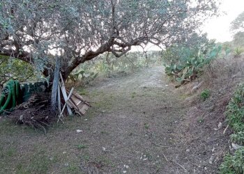 IMG_20231011_160207.jpg - Casa indipendente Ragusa - foto 30