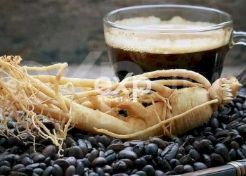 Negozio Pavia - foto 19