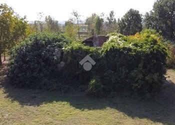 Rustic Via mori, Castel San Pietro Terme - photo 22