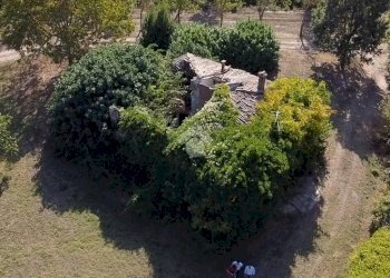 Rustic Via mori, Castel San Pietro Terme - photo 23