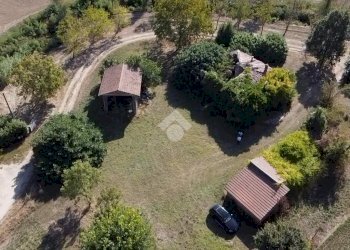 Rustic Via mori, Castel San Pietro Terme - photo 28
