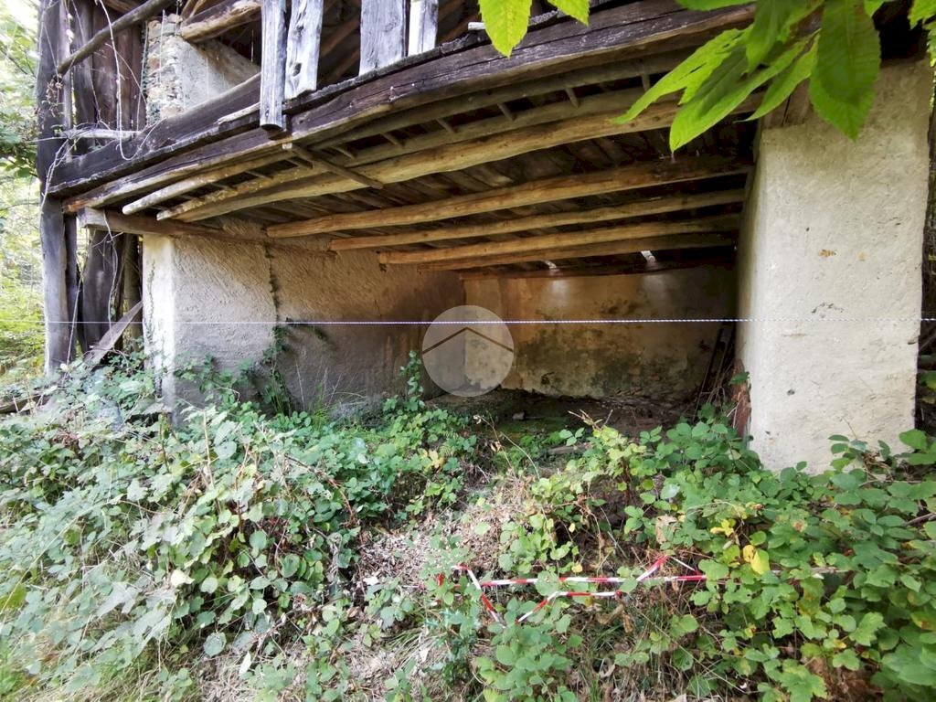 Rustic Frazione fubina, Viù - photo 3