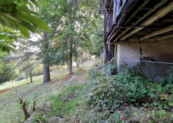 Rustic Frazione fubina, Viù - photo 6