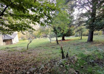 Rustic Frazione fubina, Viù - photo 7
