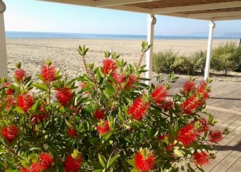 am12.jpg - Porzione di casa Ameglia - foto 5