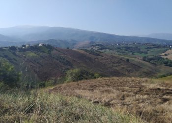 terreno - Terreno agricolo Manoppello - foto 3