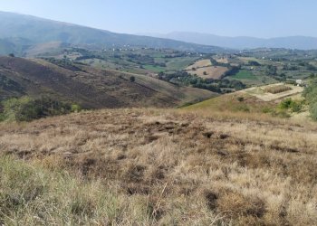 terreno - Terreno agricolo Manoppello - foto 4