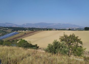 viste - Terreno agricolo Manoppello - foto 6