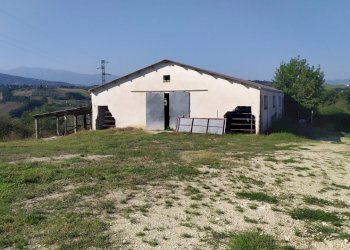 dettagli - Terreno agricolo Manoppello - foto 10