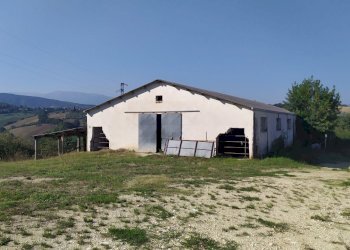 dettagli - Terreno agricolo Manoppello - foto 11