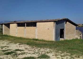 dettagli - Terreno agricolo Manoppello - foto 12