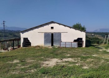 dettagli - Terreno agricolo Manoppello - foto 13