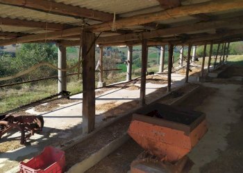 dettagli - Terreno agricolo Manoppello - foto 17