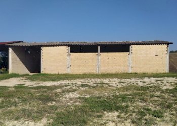 dettagli - Terreno agricolo Manoppello - foto 18