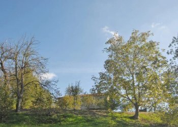 Casale Bosia - photo 27