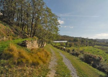 Casale Bosia - photo 28