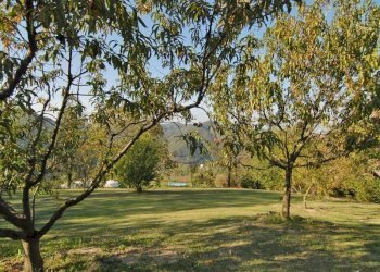 Casale Bosia - photo 57