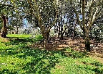 Trilocale Loc. Cerreta 53, Castagneto Carducci - foto 2