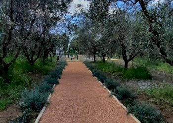 Trilocale Loc. Cerreta 53, Castagneto Carducci - foto 17