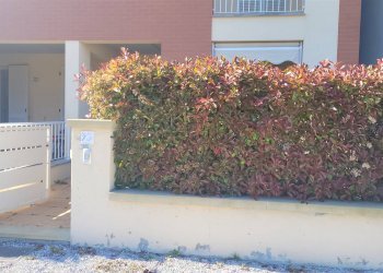 Bilocale Via Bellini 7/7, Castagneto Carducci - foto 15