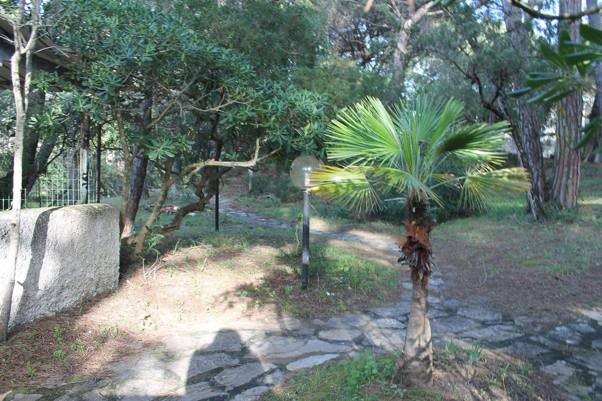 Quadrilocale Via Borsi 9, Castagneto Carducci - foto 2