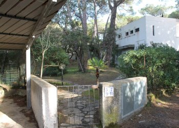 Quadrilocale Via Borsi 9, Castagneto Carducci - foto 3