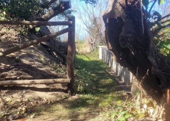 Bilocale Viale Italia 33, Castagneto Carducci - foto 8