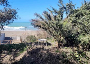 Bilocale Viale Italia 33, Castagneto Carducci - foto 9