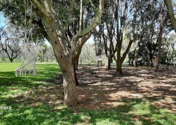 Two-room apartment Loc Cerreta 53, Castagneto Carducci - photo 20