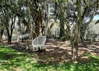 Two-room apartment Loc Cerreta 53, Castagneto Carducci - photo 23