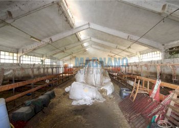 Rustico Cavour - foto 9