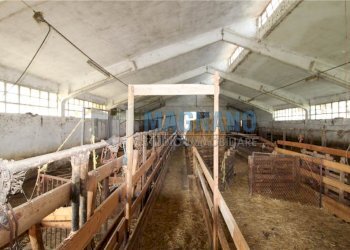 Rustico Cavour - foto 10