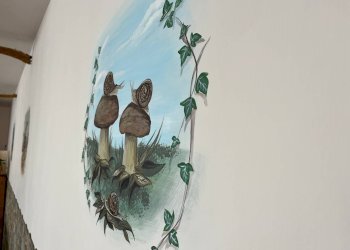 Villa Spoleto - foto 30