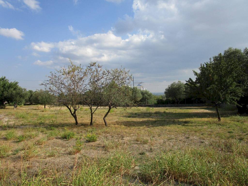 Building land viale Marcus, 31, Statte - photo 3