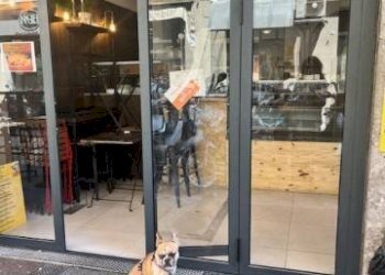 Ingresso - Bar Tavola Calda - Fredda via Ugo Bassi, Bologna (zona Centro Storico) - foto 4