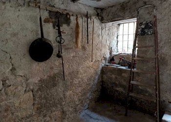 WhatsApp Image 2023-10-13 at 15.15.18.jpeg - Box Amelia - photo 5