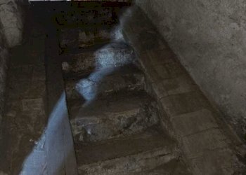 WhatsApp Image 2023-10-13 at 15.15.29 (1).jpeg - Box Amelia - photo 7