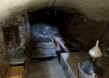 WhatsApp Image 2023-10-13 at 15.15.34 (2).jpeg - Box Amelia - photo 12