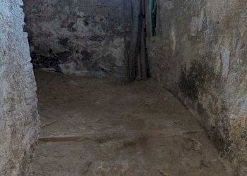 WhatsApp Image 2023-10-13 at 15.15.34.jpeg - Box Amelia - photo 13