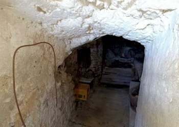 WhatsApp Image 2023-10-13 at 15.15.35 (1).jpeg - Box Amelia - photo 14