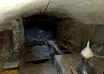 WhatsApp Image 2023-10-13 at 15.15.35.jpeg - Box Amelia - photo 18