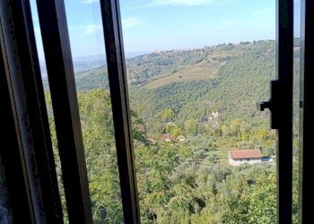 WhatsApp Image 2023-10-13 at 15.16.22 (1).jpeg - Quadrilocale Piazza S.Valentino, Penna in Teverina - foto 13