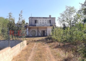 20231012_103453.jpg - Villa SP49 108, Martina Franca - foto 4